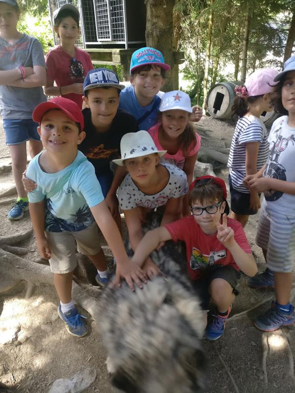 groupe d'enfants qui caressent un chien lors d'une colo