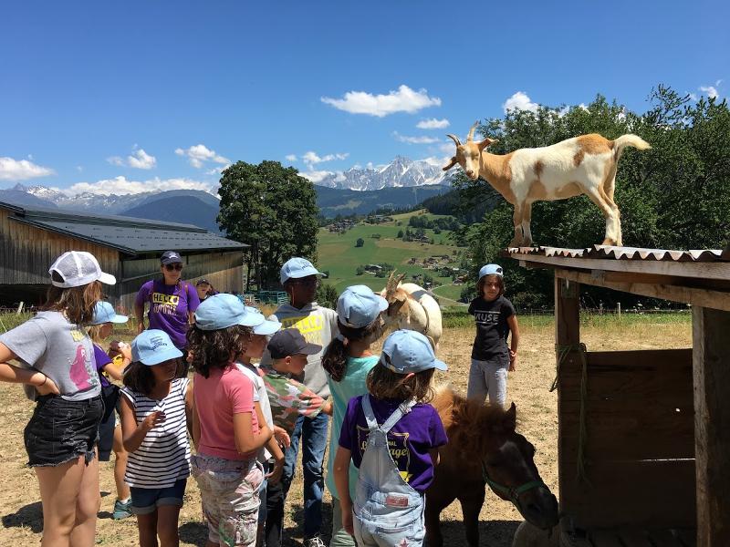 enfants à la ferme avec un poney et une chèvre sur le toit lors d'une colonie ferme pédagogique