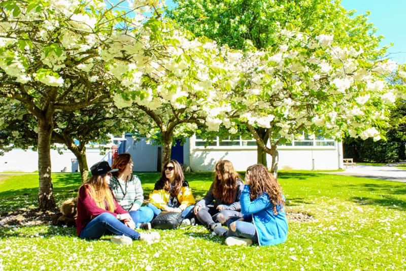 5 filles assises au soleil sous des arbres en séjour linguistique irlande