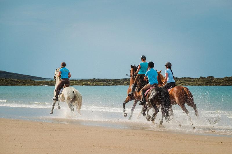 Un cours d’équitation durant un stage de langue française 