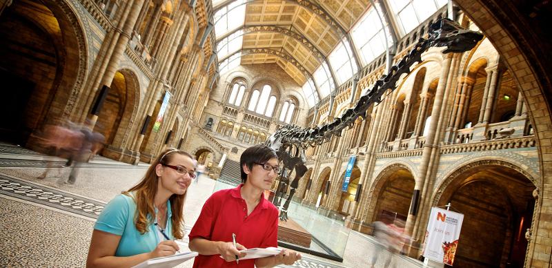 une visite de musée avec des ossements de dinosaures durant un voyage langue angleterre 