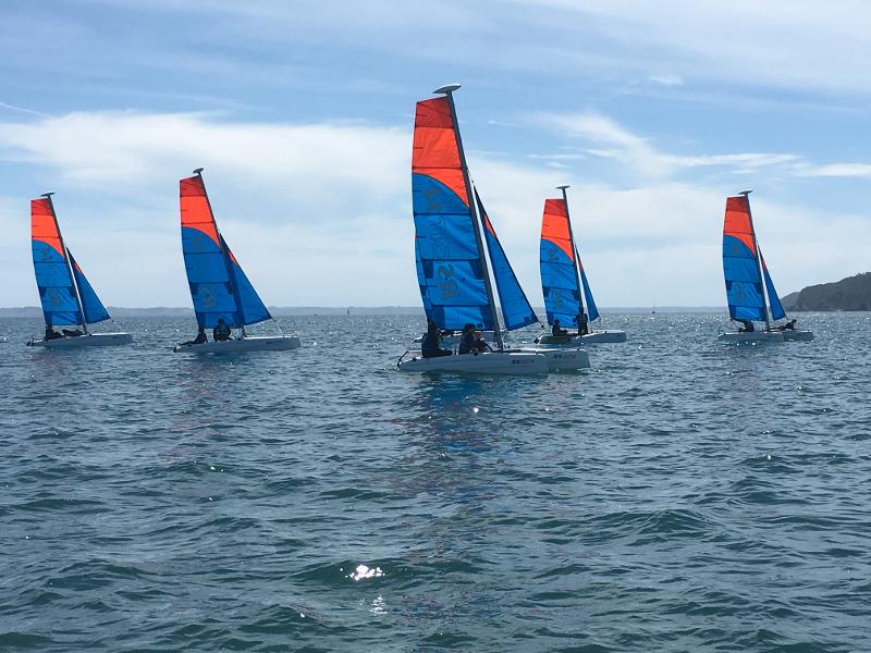 plusieurs catamarans qui sont sur l'eau