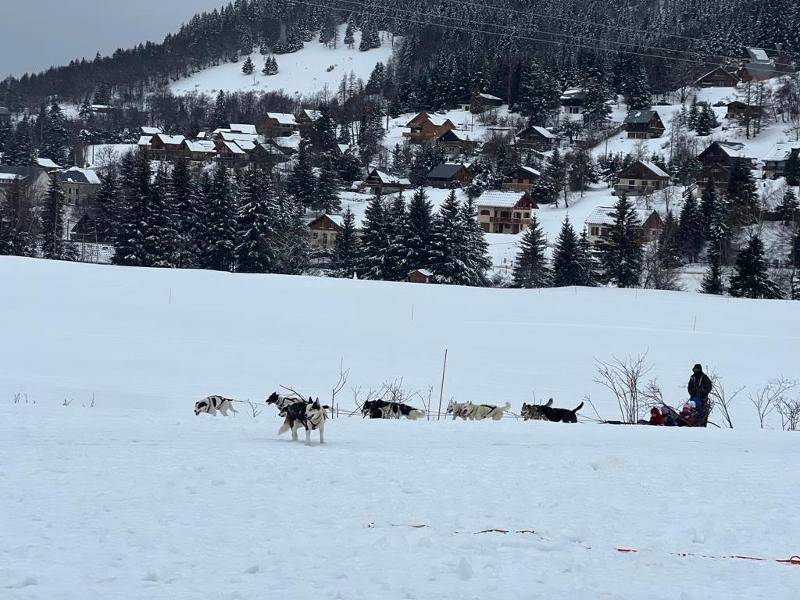 chiens dans la neige en colonie chien  