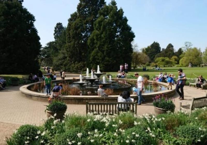Le jardin botanique de l'université de Cambridge pendant un séjour linguistique anglais
