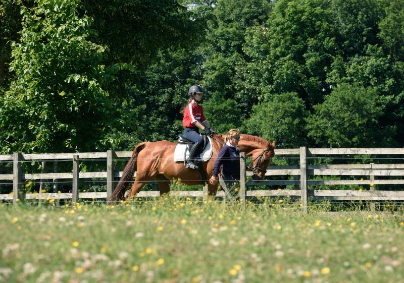 une fille sur un cheval en extérieur pendant le séjour linguistique écosse