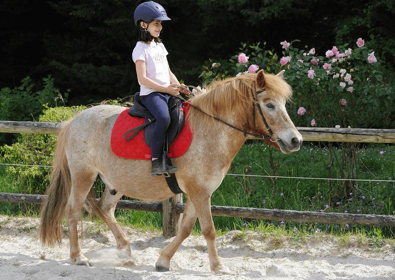 jeune fille en club en colonie poney