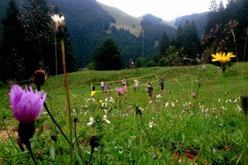jeunes jouant au volleyball au milieu des prairies de montagnes pendant leur sejour linguistique allemand 