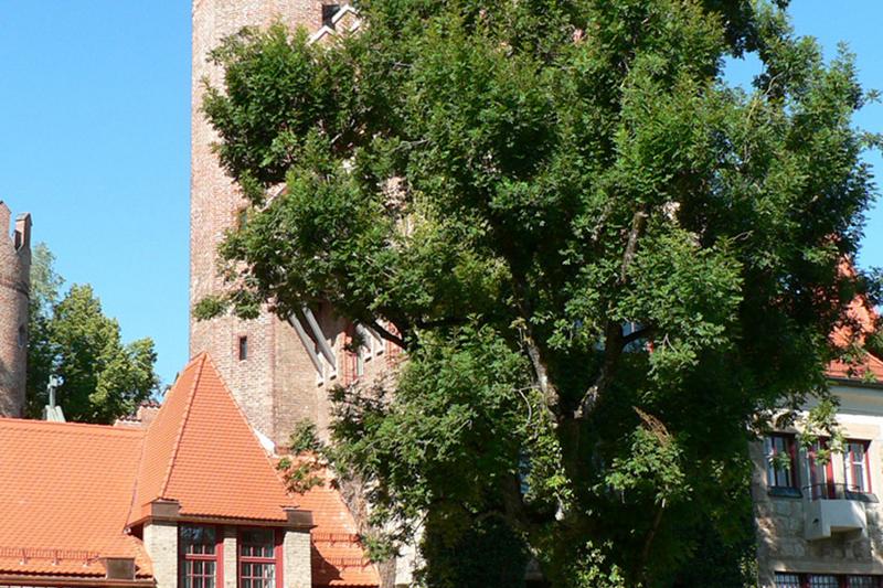 Eglise dans un village visité lors du sejour linguistique allemand