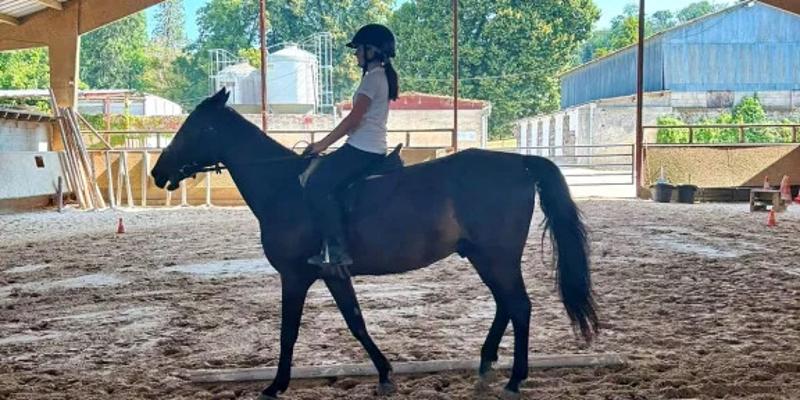 Colonie de Vacances Equitation Intensive Indre Toussaint - Photo 2