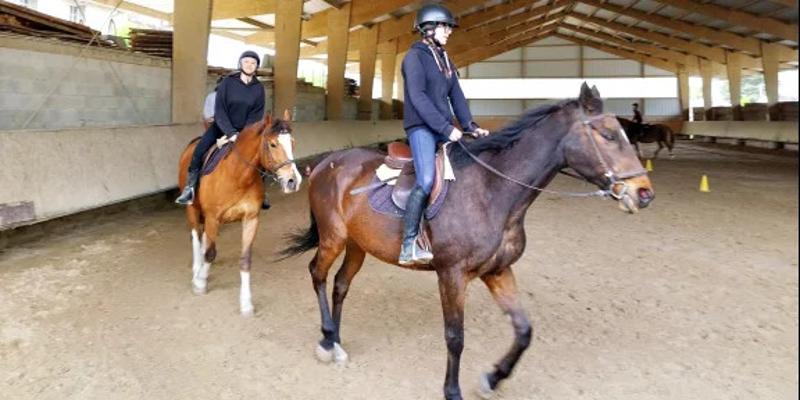 Colonie de Vacances Equitation Intensive Indre Toussaint - Photo 3