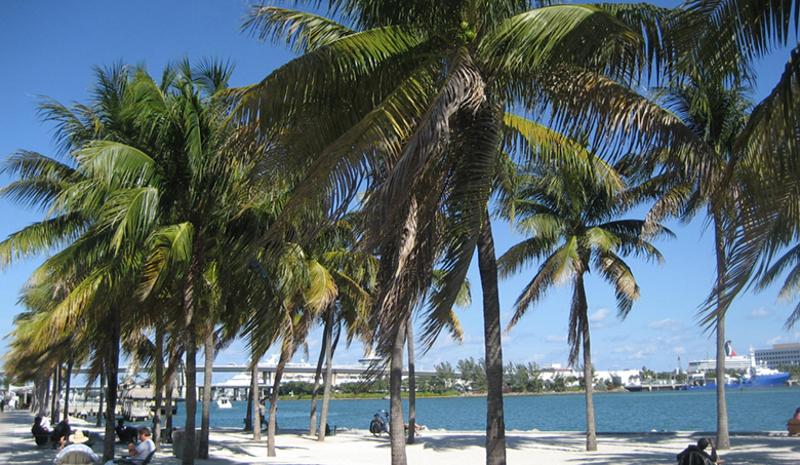 à la découverte des plages floridiennes lors du séjour linguistique USA pas cher 