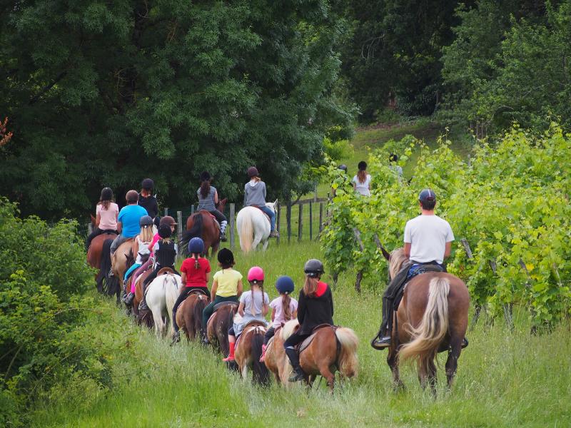 Groupe d'enfants à poney dans la forêt en colonie equitation gironde