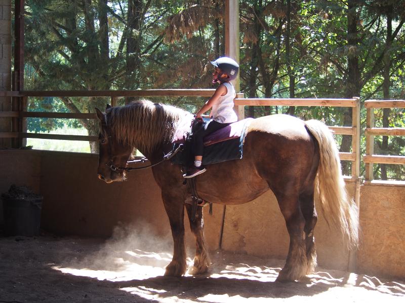 petite fille sur un cheval dans le manège en colonie equitation gironde
