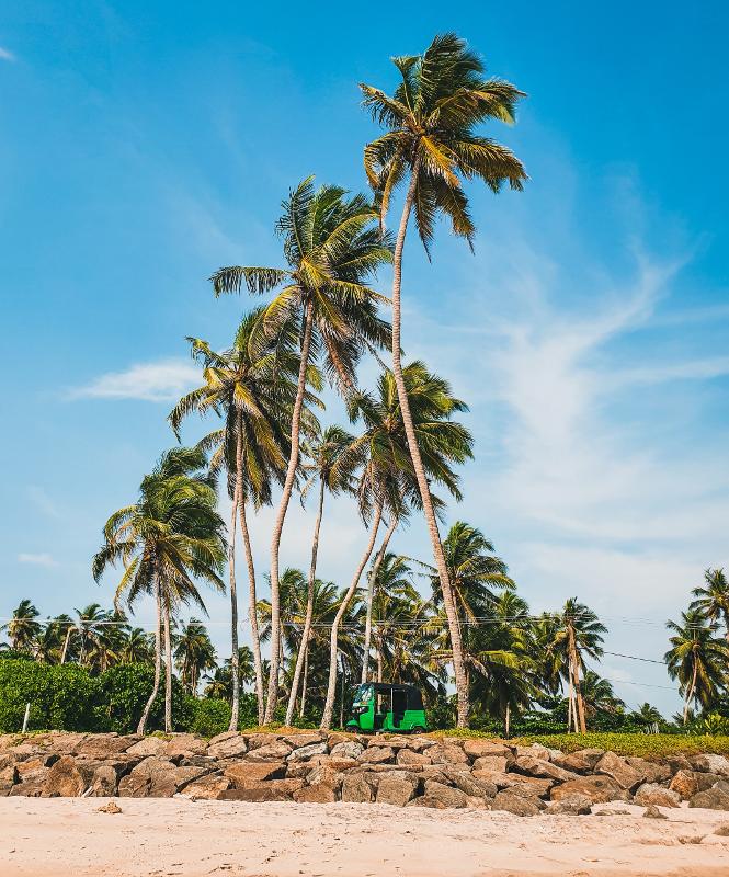 plage, palmier et tuk tuk 