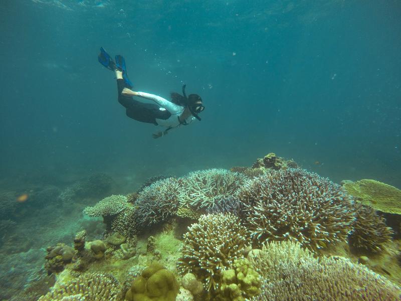 Adolescente faisant du snorkelling en colonie Thailande 