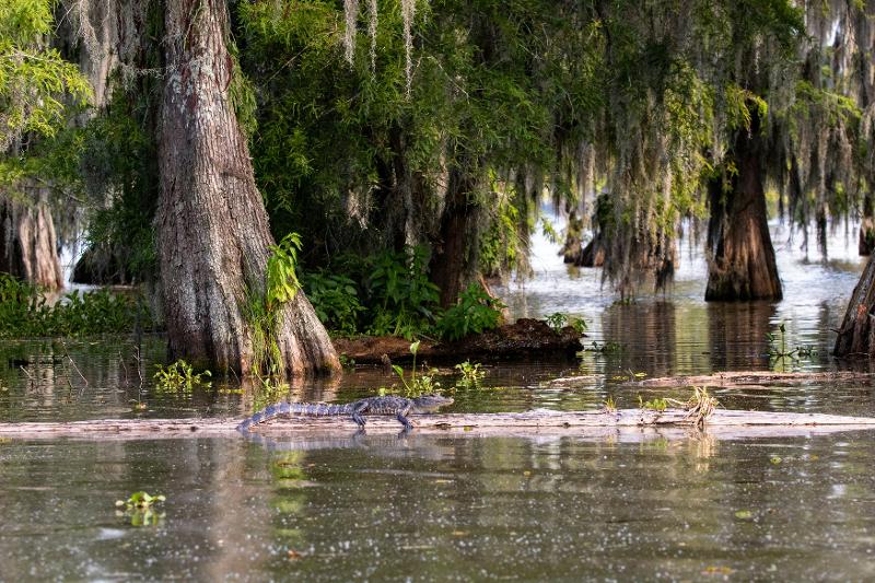 un paysage naturel sauvage vu en séjour linguistique immersion