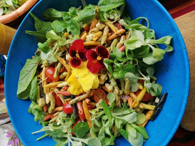 Photo d'une assiette avec une salade colorée