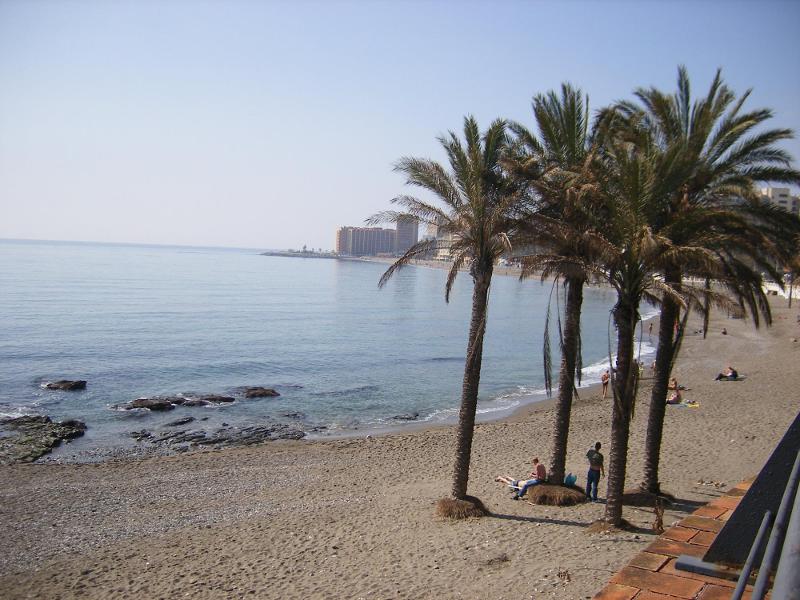 Des palmiers sur la plage de Benalmadena