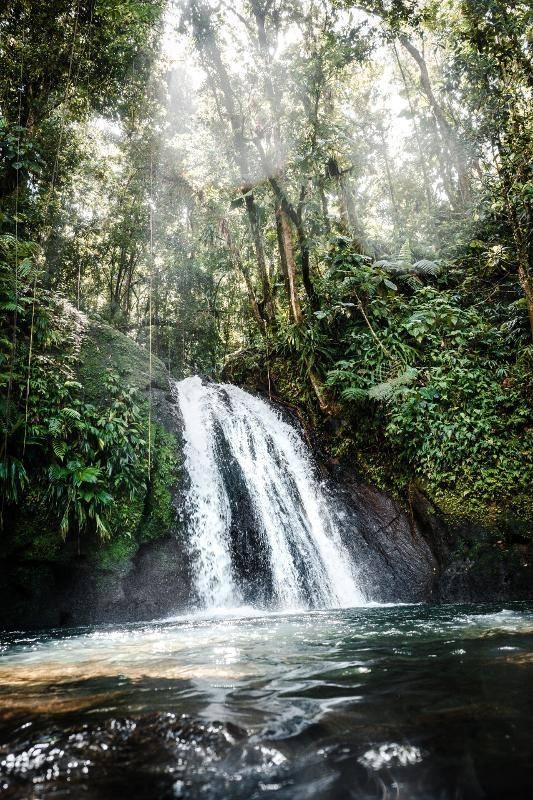 Colonie de Vacances Aventure en Guadeloupe Hiver - Photo 2