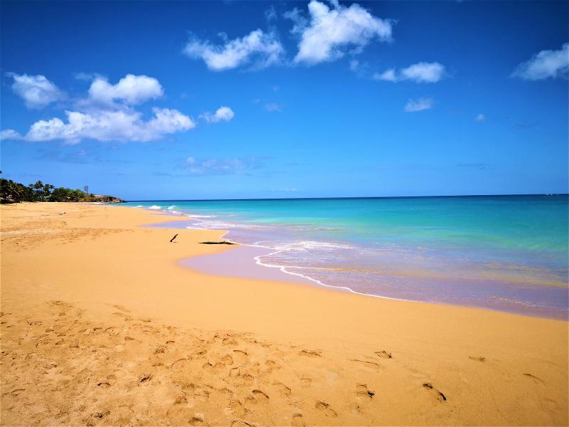 Colonie de Vacances Aventure en Guadeloupe Hiver - Photo 3