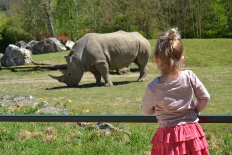 Zoo de Beauval et Découverte des Châteaux Toussaint - Photo 3