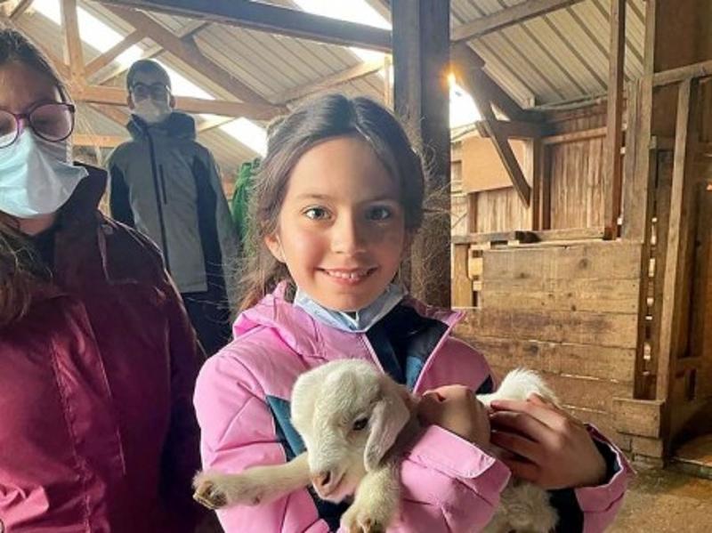 Découvre la Vie de Musher dans le Puy de Dôme Hiver - Photo 3
