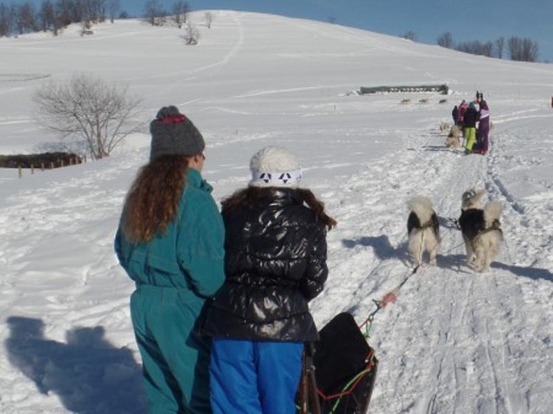 Découvre la Vie de Musher dans le Puy de Dôme Hiver - Photo 1