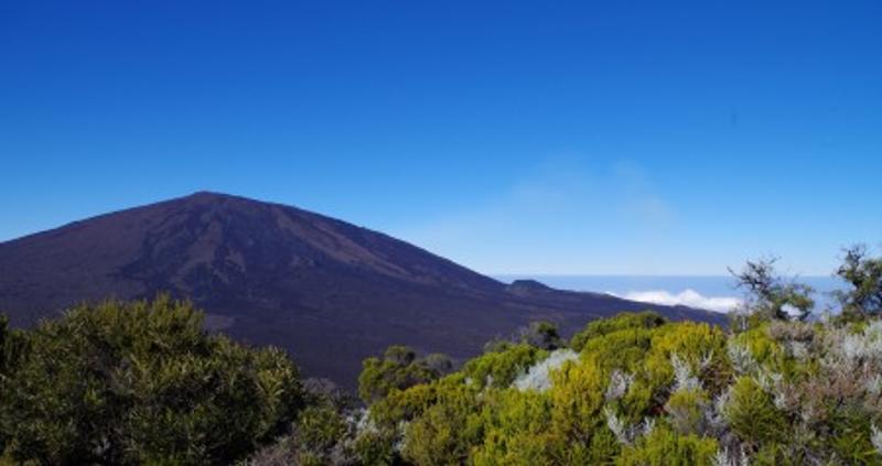 Colonie sur l'Île de la Réunion Toussaint - Photo 3