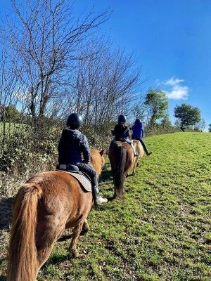 Colonie Équitation et Ferme en Anglais à Paulinet - Tarn