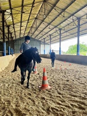 Colo Équestre en Bourgogne - Yonne (89)