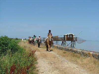 Équitation Perfectionnement Ado en Gironde Des chevaux et leurs cavaliers se suivent en file indienne lors d'une colonie de vacances équitation