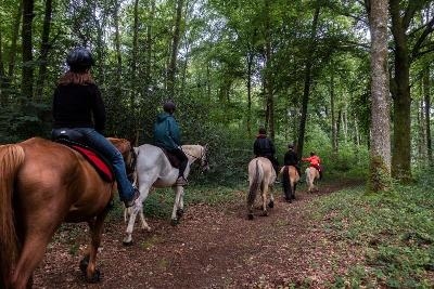 Un groupe de cavalier dans la forêt lors d'un camp de vacances équitation