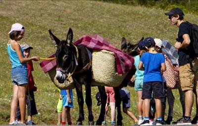 Colo Aventure Nature avec les Ânes dans l'Aude - Aude