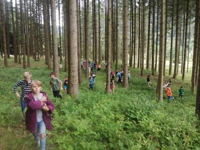 Un groupe d'enfants jouent dans la forêt en colonie de vacances Vosges
