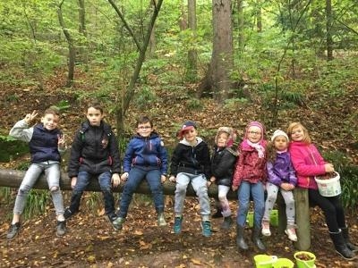 Les enfants de la colonie de vacances Vosges assis sur un tronc d'arbres dans la forêt