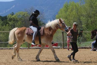 Séjour Équitation sur Mesure à Die - Drôme