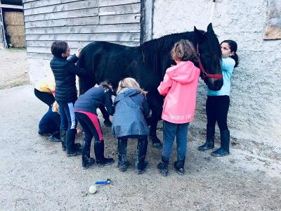 Les enfants de la colonie de vacances équitation bouchonnent un cheval dans la cour