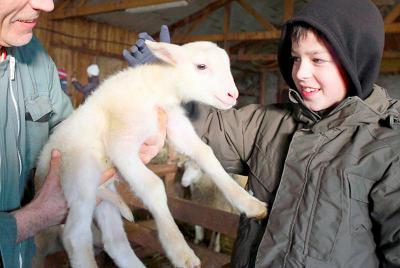 Séjour à la Ferme en Auvergne - Haute-Loire