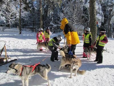Colo Musher et Chiens de Traineau en Auvergne Hiver - Haute-Loire