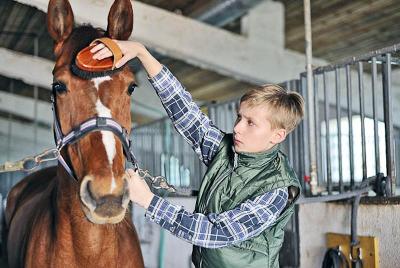 Colo Équitation Au Galop en Auvergne - Haute-Loire