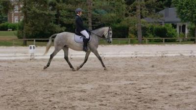 Colonie Equitation et Potager dans l'Yonne Hiver - Yonne
