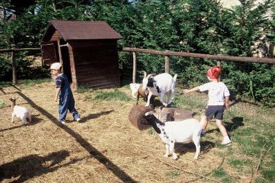 Colo Petits Cavaliers et Fermiers Toussaint - Yonne