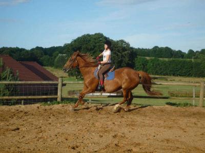 Colonie Equitation et Western Toussaint - Yonne