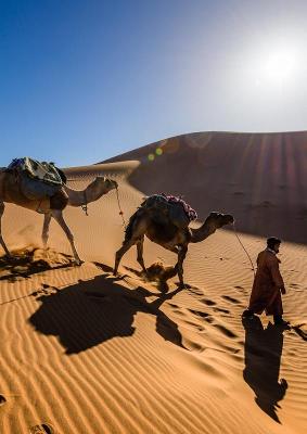 Colonie à la Découverte du Maroc Toussaint - Marrakech