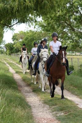 Colo Equitation Ethologique en Charente-Maritime 12-17 ans Colo Equitation Ethologique en Charente-Maritime 12-17 ans - Charente-Maritime