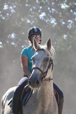 Séjour Equitation dans le Finistère 11-17 ans Printemps - Finistère
