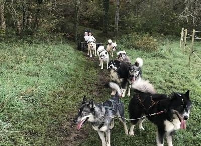 Colonie Cani-Rando en Haute-Vienne Printemps - Charente