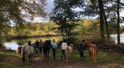Stage d'Equitation Académie en Haute-Vienne - Haute-Vienne