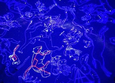 Colonie Petit Explorateur en Haute-Vienne Printemps - Haute-Vienne