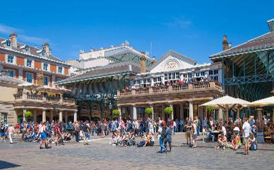 Immersion en famille d’accueil et cours d'anglais - Londres